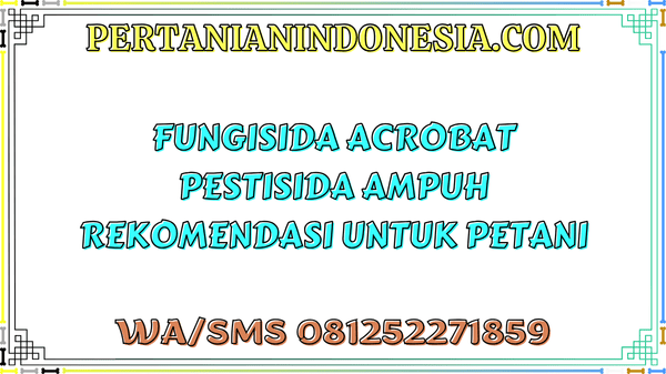 Fungisida Acrobat Pestisida Ampuh Rekomendasi Untuk Petani